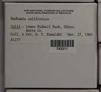 Image Associated With the Occurence